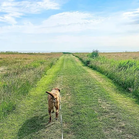 8 Person In Orsted-by Traum * Kare