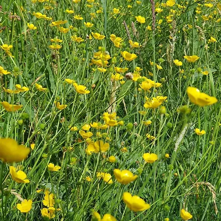 8 Person In Orsted-by Traum *